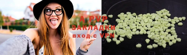 гидра Белокуриха
