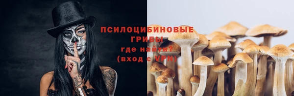 ECSTASY Беломорск