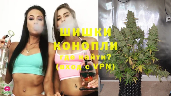гидра Белокуриха