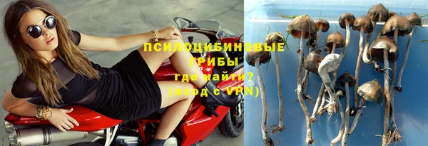 гидра Белокуриха
