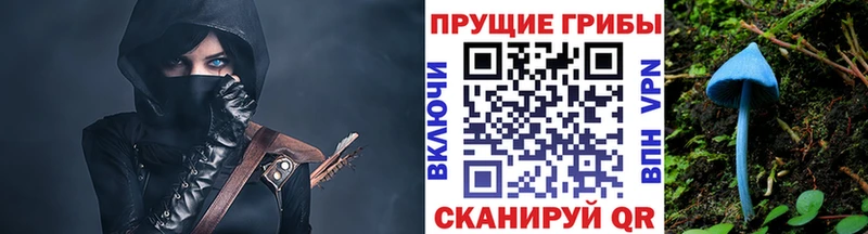 купить Бологое ссылка на мегу ссылка Галлюциногенные грибы ЛСД